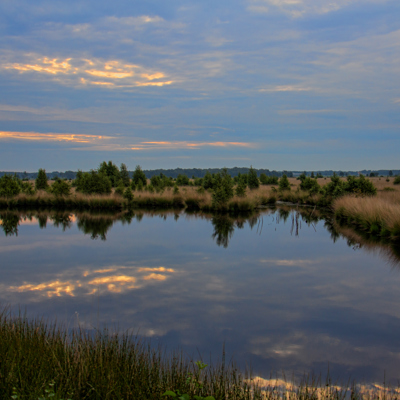 meer met op achtergrond landschap met bomen