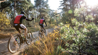 Mountainbikers op een bospad.