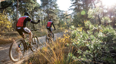 Mountainbikers op een bospad.