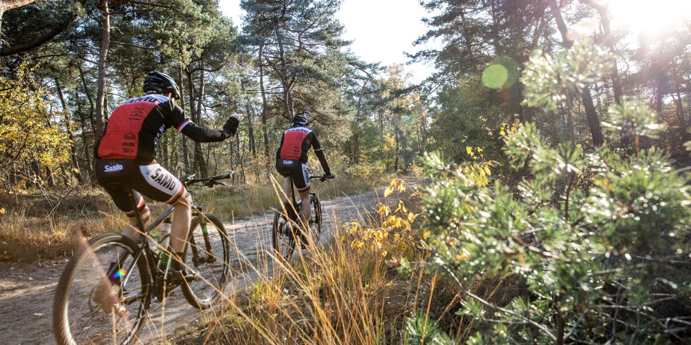 Mountainbikers op een bospad.