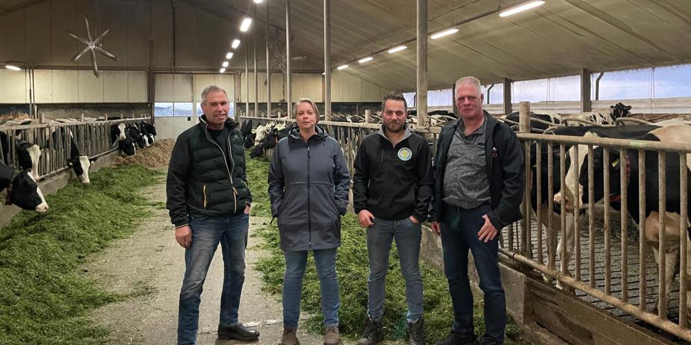 Mensen poseren in een koeienstal