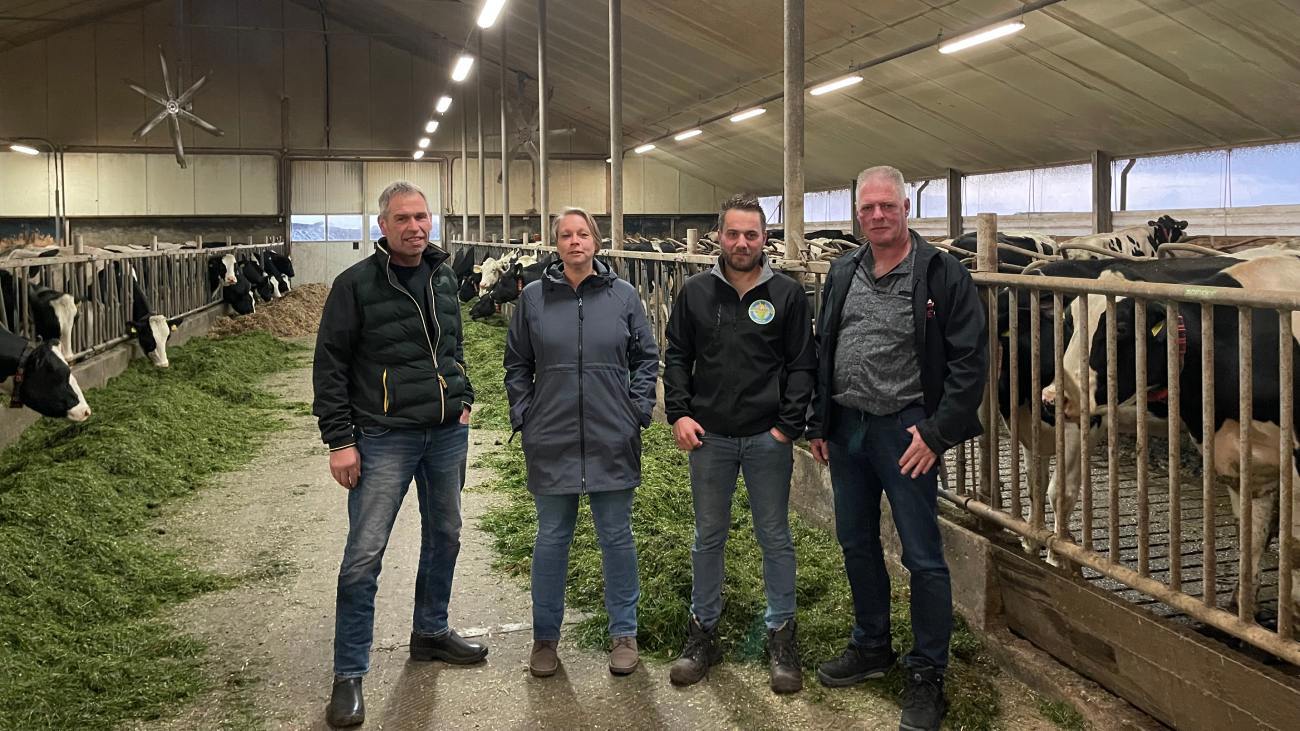Mensen poseren in een koeienstal
