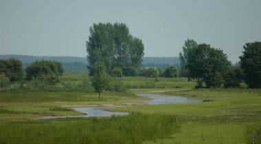 Groen rivierlandschap van de uiterwaarden met een slingerende kreek en bomen.