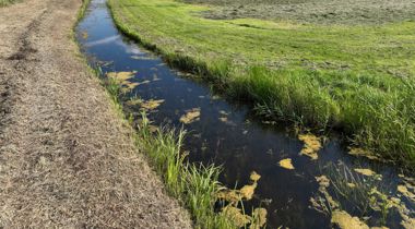 Perceel in veenweidegebied