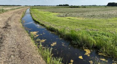 Perceel in veenweidegebied