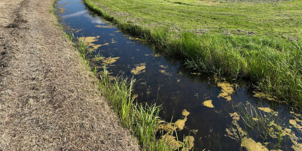 Perceel in veenweidegebied
