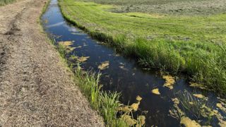 Perceel in veenweidegebied