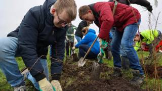 Een groep mensen is buiten jonge bomen aan het planten op een modderige grasstrook.