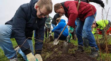 Een groep mensen is buiten jonge bomen aan het planten op een modderige grasstrook.