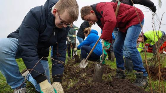 Een groep mensen is buiten jonge bomen aan het planten op een modderige grasstrook.
