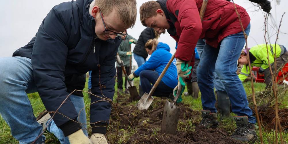 Een groep mensen is buiten jonge bomen aan het planten op een modderige grasstrook.