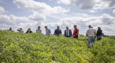 Gert Harm Ten Bolscher staat met meerdere mensen op het veld (werkbezoeken eiwitten)