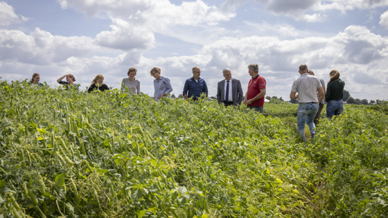 Gert Harm Ten Bolscher staat met meerdere mensen op het veld (werkbezoeken eiwitten)