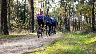 Mountainbikers op een bospad.
