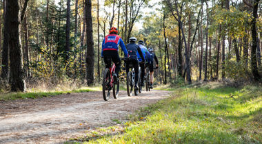 Mountainbikers op een bospad.
