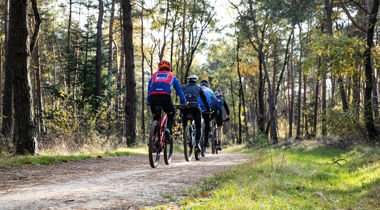 Mountainbikers op een bospad.