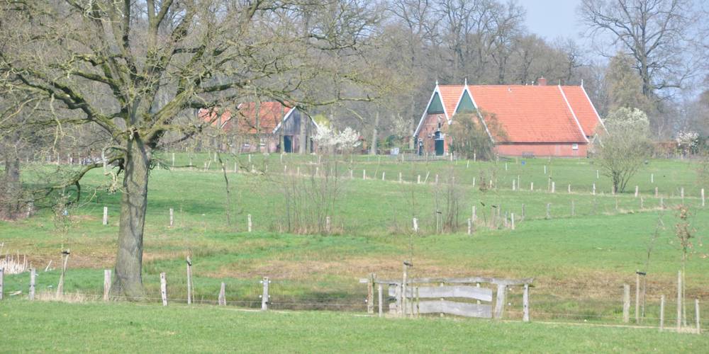 Glooiend groen weiland met een grote boom op de voorgrond en boerderijen met oranje daken in de achtergrond.