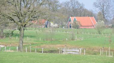 Glooiend groen weiland met een grote boom op de voorgrond en boerderijen met oranje daken in de achtergrond.