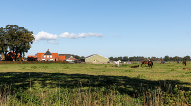 Boerderij met schuren, weiland met paarden ervoor, tractor op het erf, bomen