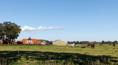 Boerderij met schuren, weiland met paarden ervoor, tractor op het erf, bomen