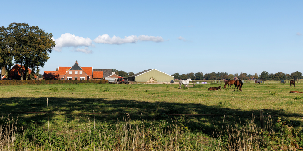 Boerderij met schuren, weiland met paarden ervoor, tractor op het erf, bomen