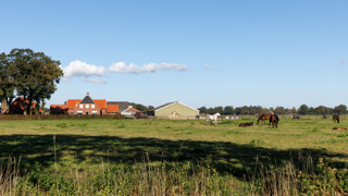 Boerderij met schuren, weiland met paarden ervoor, tractor op het erf, bomen