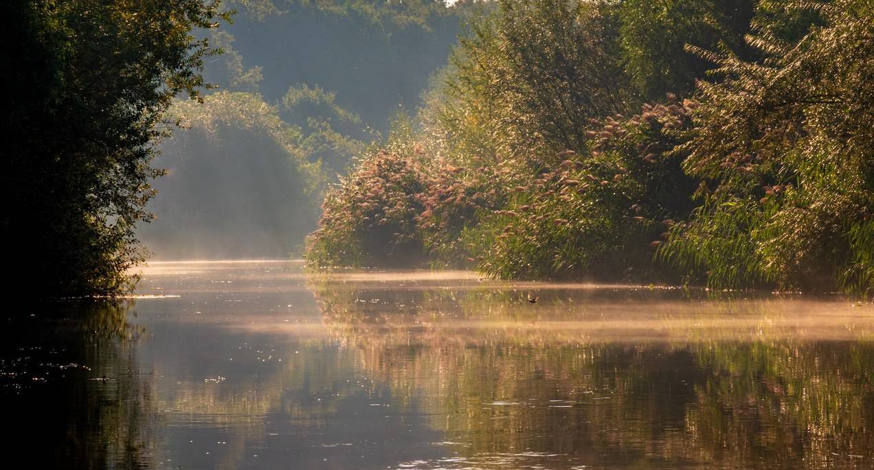 Rustige rivier met mist en bloeiende bomen in een groen landschap.