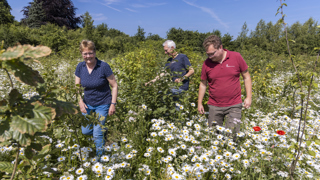 3 personen lopen in een veld met bloemen en struiken