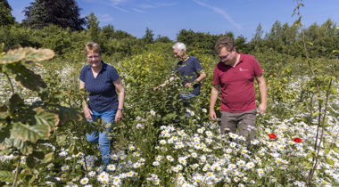 3 personen lopen in een veld met bloemen en struiken
