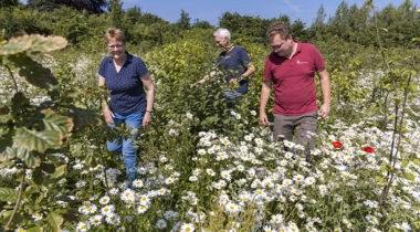 3 personen lopen in een veld met bloemen en struiken