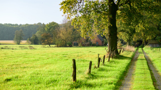 Laan en weiland bij buurtschap Broekheurne waar het groene landschap sterk bepaald wordt door agrarische bedrijven en historische landgoederen.