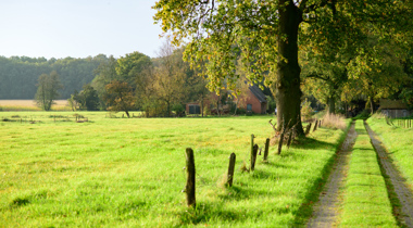 Laan en weiland bij buurtschap Broekheurne waar het groene landschap sterk bepaald wordt door agrarische bedrijven en historische landgoederen.