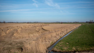 Baarlingerpolder