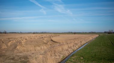 Baarlingerpolder