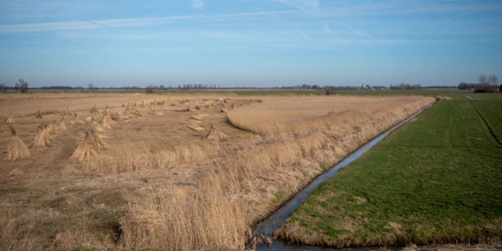 Baarlingerpolder
