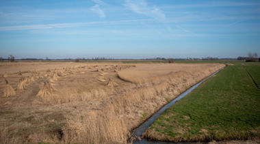 Baarlingerpolder