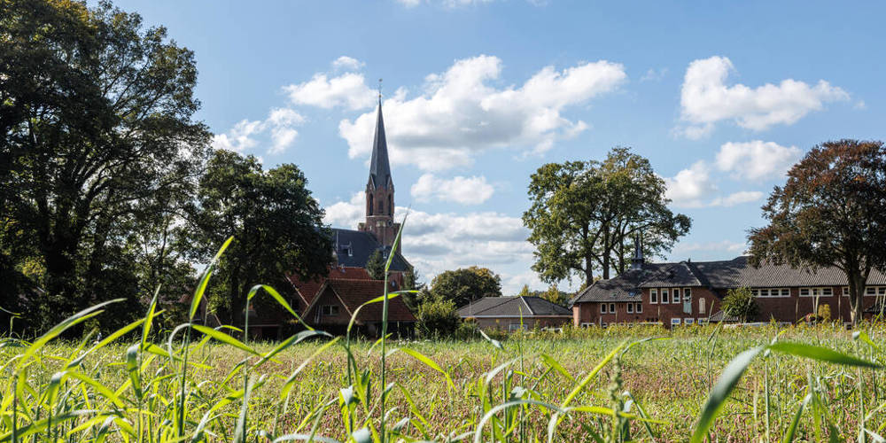 Weiland met een dorp en kerktoren op de achtergrond.