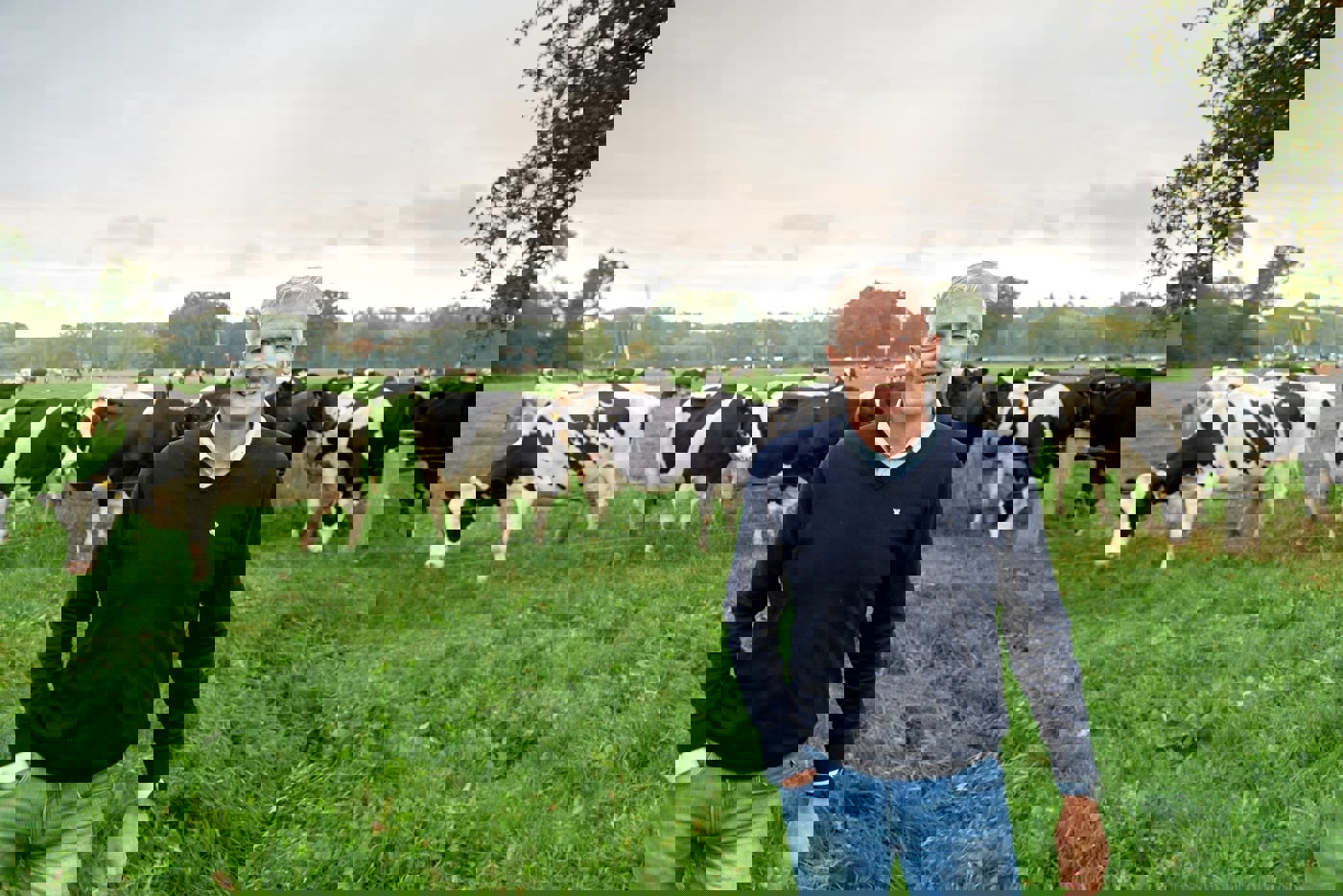 Adviseur Hans Grootens in een weiland met zwart-witte koeien en groene bomen in de verte.