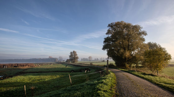Dijkweg in de zon die loopt naar de horizon.