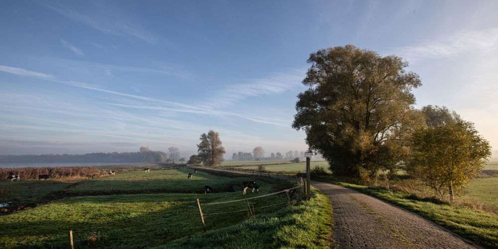 Dijkweg in de zon die loopt naar de horizon.