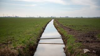 Sloot in grasland met houten plankbrug en hoogspanningslijnen in de verte onder deels bewolkte lucht.