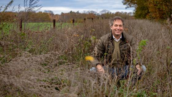 Man zit in een veld met hoge, droge planten in een herfstlandschap.