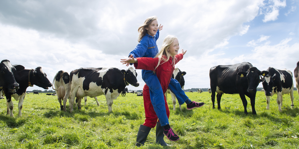 Spelende kinderen tussen koeien in een wei.