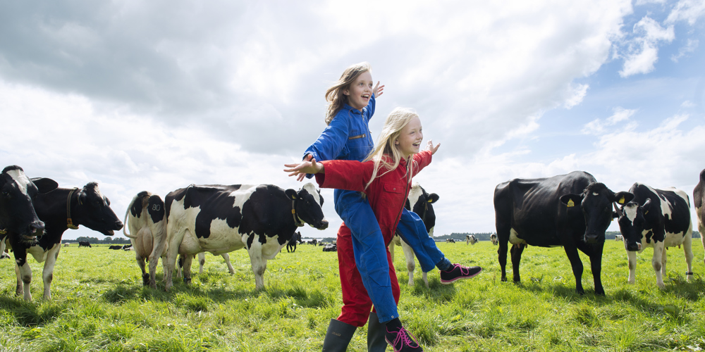 Spelende kinderen tussen koeien in een wei.