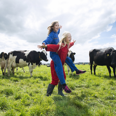 Spelende kinderen tussen koeien in een wei.