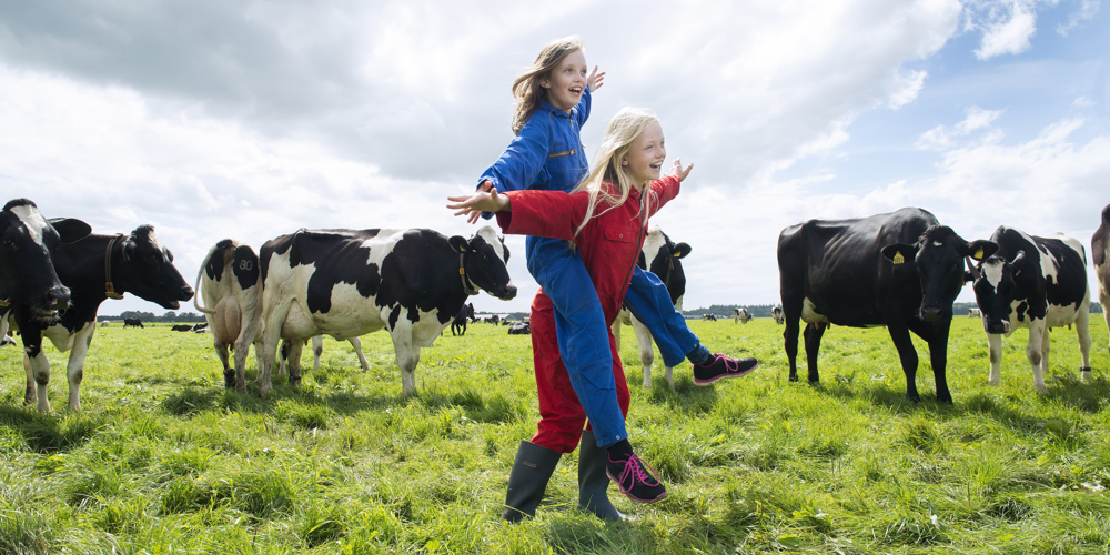 Spelende kinderen tussen koeien in een wei.